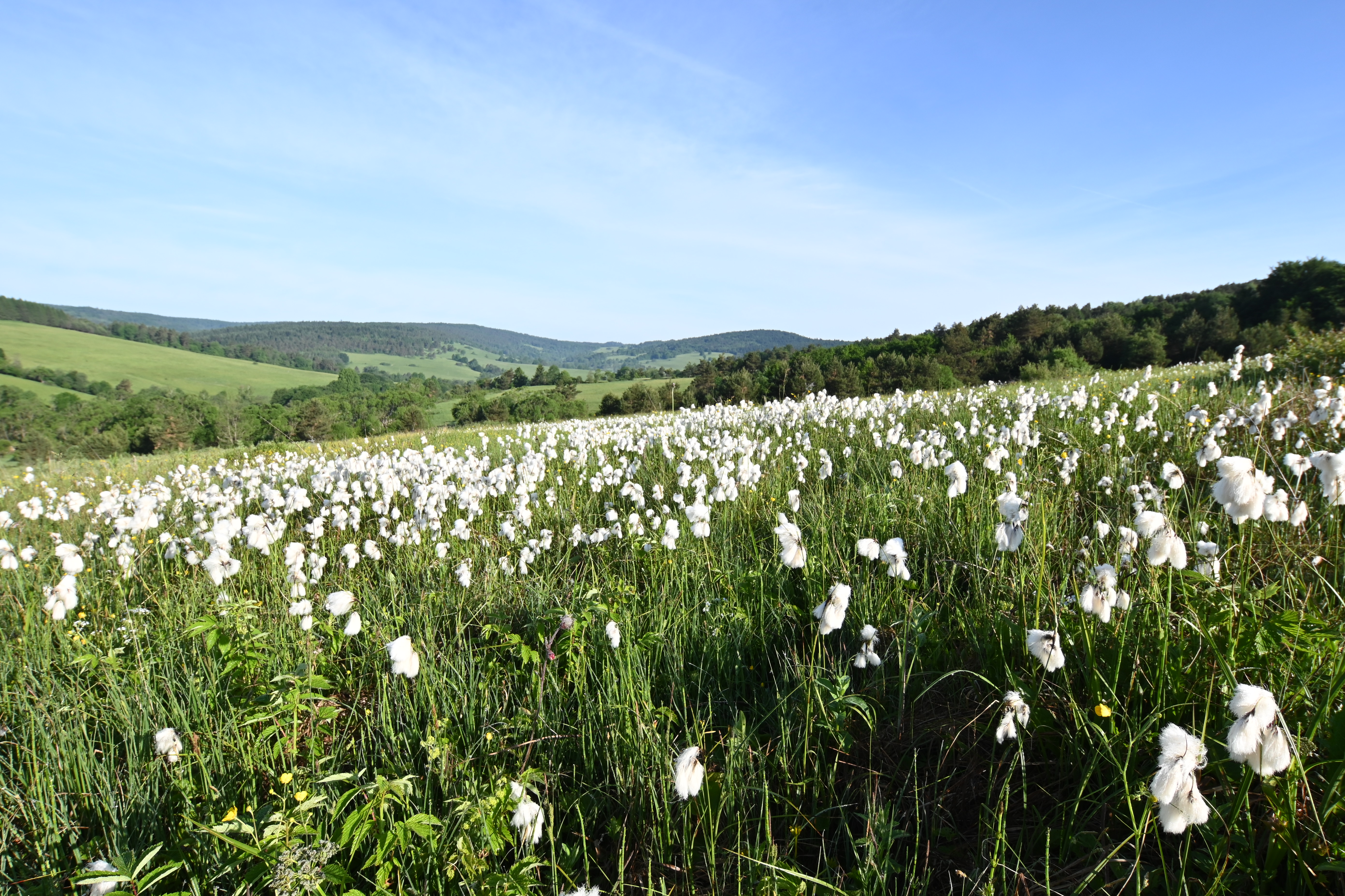 Beskid Niski