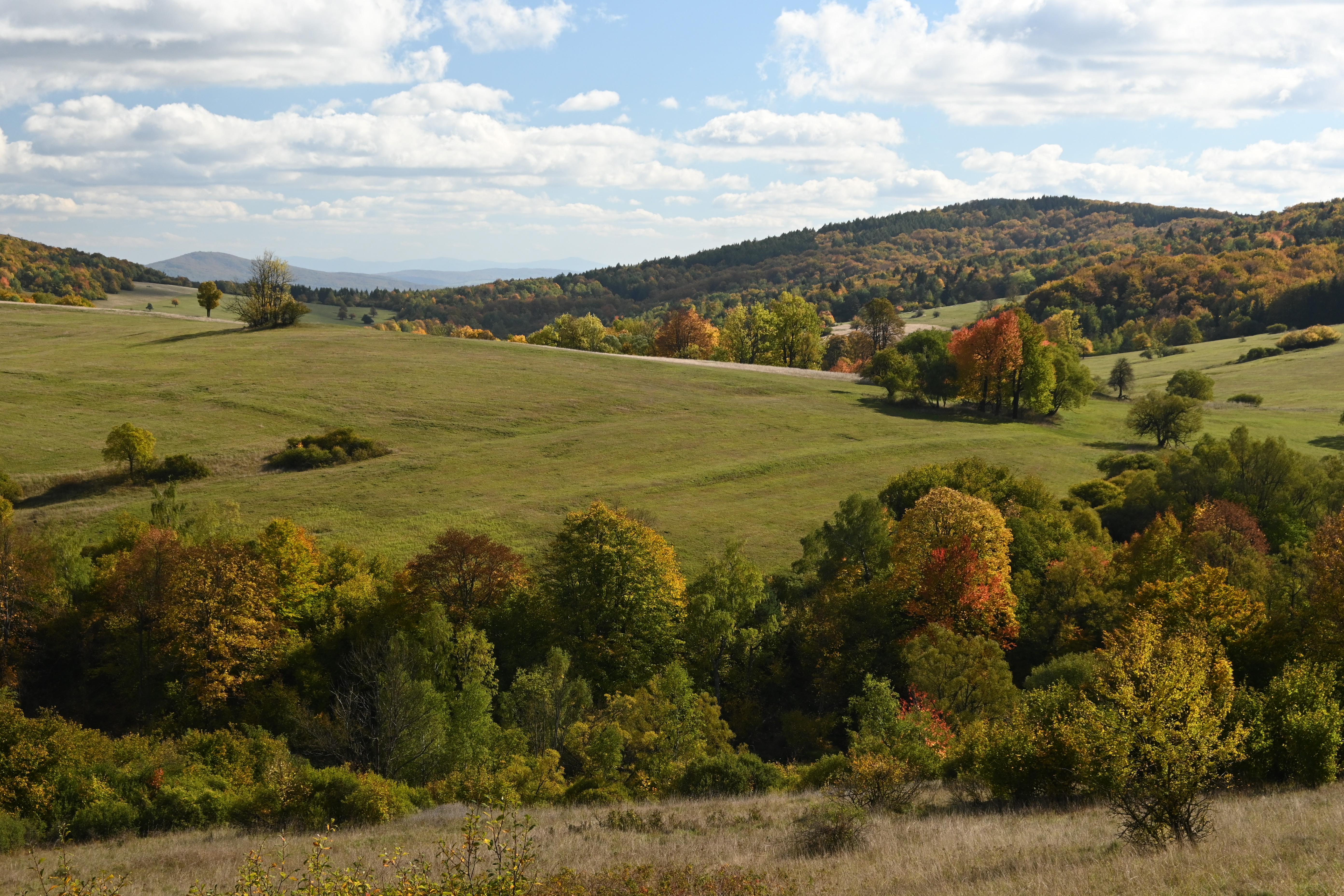 Beskid Niski in autumn