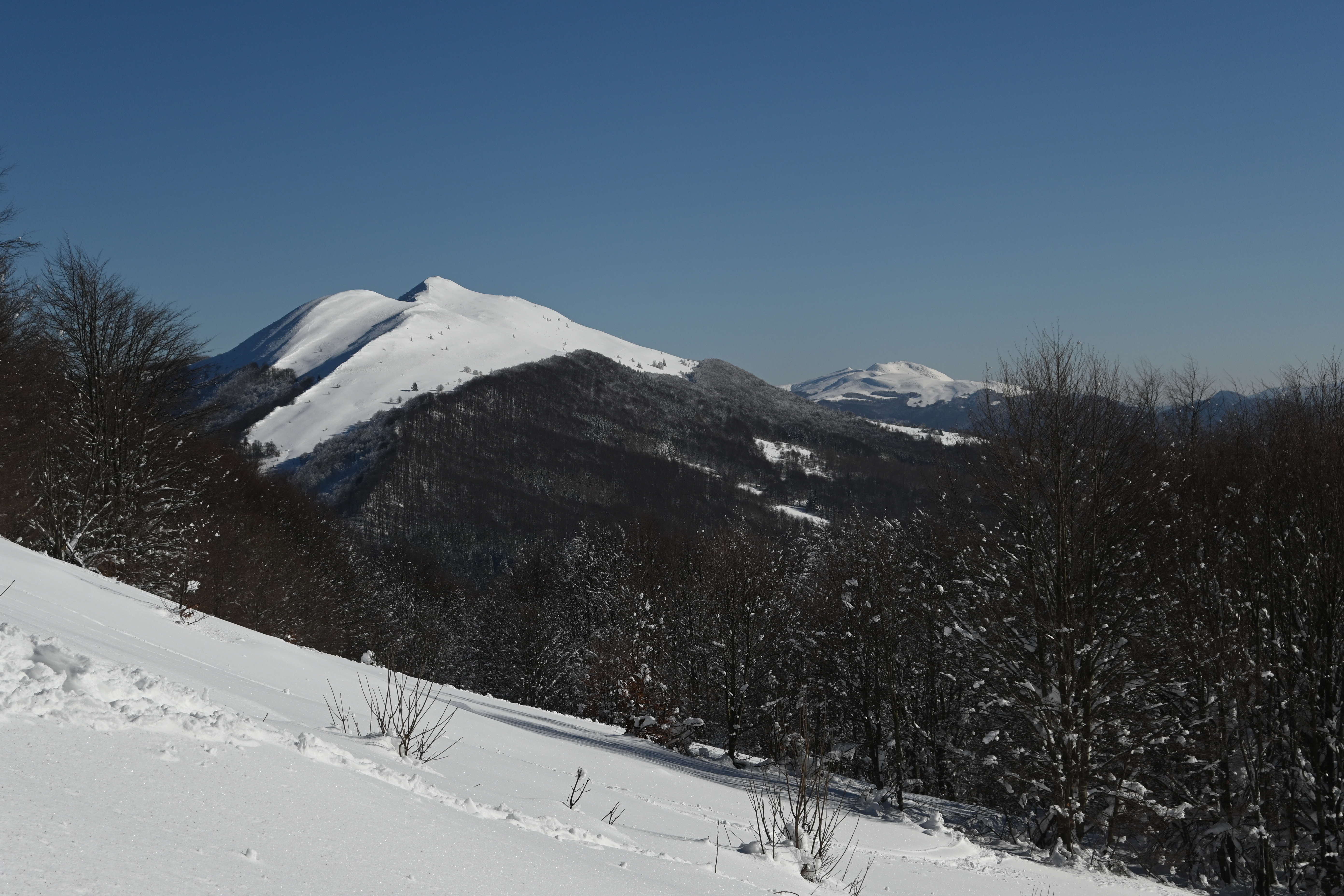 Bieszczady in winter